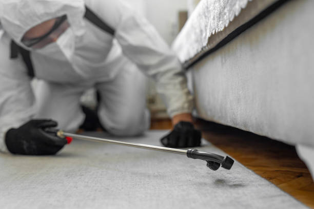Professional Bed Bug Control technician working in Fredonia, NY