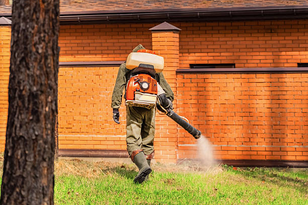 Trusted Rodent Control service in Fredonia, NY - Nex Pest Control